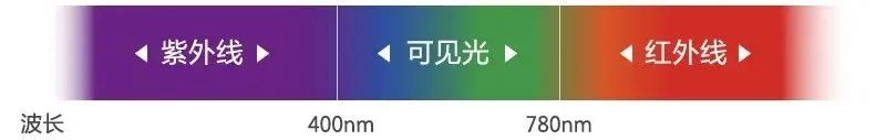 图片2 图片2